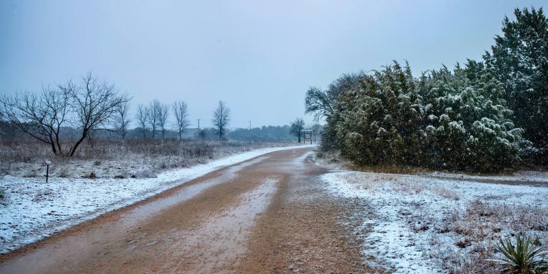 Sniegots un mitrs grants ceļš vijas cauri lauku ainavai. Labajā pusē ir sniegotu skujkoku rinda, kreisajā – kaili koki un apsnidzusi zāle. Viegli krīt sniegs no mākoņainām debesīm.